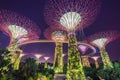 Night view of The Supertree Grove at Gardens near Marina Bay, Singapore Royalty Free Stock Photo