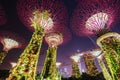 Night view of The Supertree Grove at Gardens near Marina Bay, Singapore Royalty Free Stock Photo