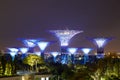 Night view of Supertree Grove in violet, Gardens by the Bay, Singapore