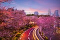 Night view of tokyo midtown in roppongi,  japan Royalty Free Stock Photo