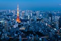 Night view of Tokyo Skylines