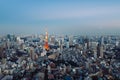 Night view of Tokyo Skylines