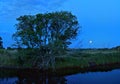 Night view of a tree on the bank of the canal against the backdrop of chimneys, the thermal power plant cooling tower Royalty Free Stock Photo