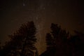 Night view of the tree landscape and milky way of Yosemite National Park Royalty Free Stock Photo