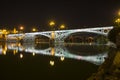 Night view of the Triana Bridge in Seville, Spain