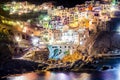 Night view of village Manarola in Cinque Terre