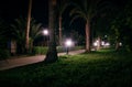 Night view walkway with tropical palm trees in the light of the lantern. Night tropical park with palms and lanterns