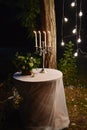 Night wedding decoration with candles and flowers on table, bulb lights on tree outdoors. Royalty Free Stock Photo