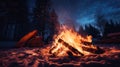 night winter camp fire Royalty Free Stock Photo