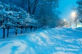 Night Winter City Scene Royalty Free Stock Photo