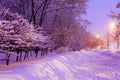 Night Winter City Scene Royalty Free Stock Photo