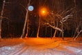 Night winter forest light from a yellow street lamp. snowytrees Park scene. snowfall Royalty Free Stock Photo