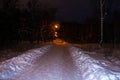 Night winter forest road light street lamp. snowytrees Park scene. snowfall Royalty Free Stock Photo