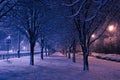 Night winter landscape in the alley of city park Royalty Free Stock Photo