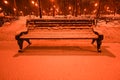 Night winter landscape in the alley of city park Royalty Free Stock Photo