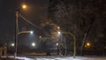 Night winter landscape in the alley of city street Royalty Free Stock Photo