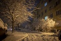 Night winter landscape in the alley of city street Royalty Free Stock Photo