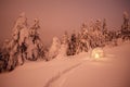 Night winter landscape with snow igloo Royalty Free Stock Photo