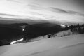 Night winter snowy view with snow-drafted hills and firs forest