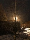 Night. Winter tree in the light of the full moon, ice on the branches Royalty Free Stock Photo