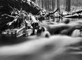 Night winter view to frozen brook, icy twigs and icy boulders above rapid stream. Reflections of light in icicles. Black and white Royalty Free Stock Photo