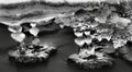 Night winter view to frozen brook, icy twigs and icy boulders above rapid stream. Reflections of light in icicles. Black and white Royalty Free Stock Photo