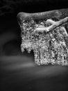 Night winter view to icicles on twigs and icy boulders above rapid stream. Reflections of head lamp in icicles. Black and white. Royalty Free Stock Photo