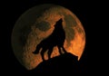 Night wolf howls at the moon
