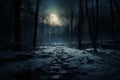 Nightfall casts a spell on the serene winter forests mysterious charm