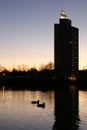 Nightfall by the river with ducks and a skyscraper Royalty Free Stock Photo