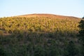 Nightfall at Sunset Crater Volcano National Monument Royalty Free Stock Photo