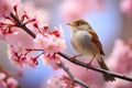 Nightingale Amidst Pink Cherry Blossoms Hopping in Nature\'s Symphony. Generative Ai.