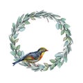 Nightingale bird on eucalyptus wreath watercolor illustraton. Hand drawn realistic song bird and eucalyptus elegant frame.