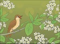 Nightingale singing on a branch with flowers