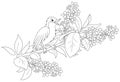 Nightingale singing on a branch with flowers