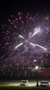 Nightly Fireworks Display at Niagara Falls on the border of USA and Canada