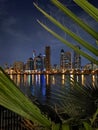 A nightly megapolis scene unveiled from the palm tree leaves