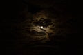 Nightly Moon