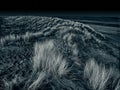 Nightscape of dunes and the norht sea