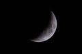 A nightscape of a quarter moon over Texas.