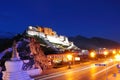 Nightscene of Potala palace Royalty Free Stock Photo