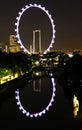 Nightscop of flyer at garden by the bay Royalty Free Stock Photo