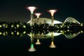 Nightscop of garden by the bay in singapore Royalty Free Stock Photo