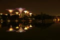 Nightscop of garden by the bay in singapore Royalty Free Stock Photo