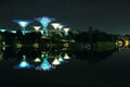 Nightscop of garden by the bay in singapore Royalty Free Stock Photo