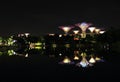 Nightscop of garden by the bay in singapore Royalty Free Stock Photo