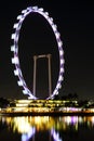 Nightscop of singapore flyer Royalty Free Stock Photo