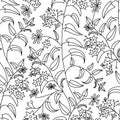 Nightshade. Floral decorative pattern. . Seamless pattern on a white isolated background