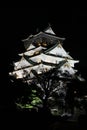 Nightshot of Osaka castle in Japan Royalty Free Stock Photo