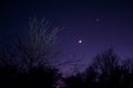 Nightsky with Moon, Venus and Aldebaran Royalty Free Stock Photo